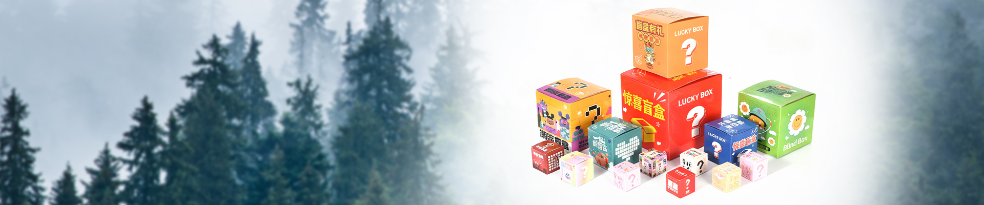 Let's Get started on Our Customized Solutions Together